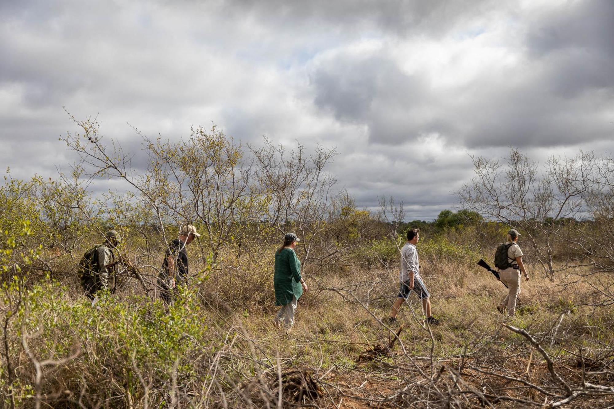 Africa On Foot Villa Klaserie Private Nature Reserve Eksteriør bilde