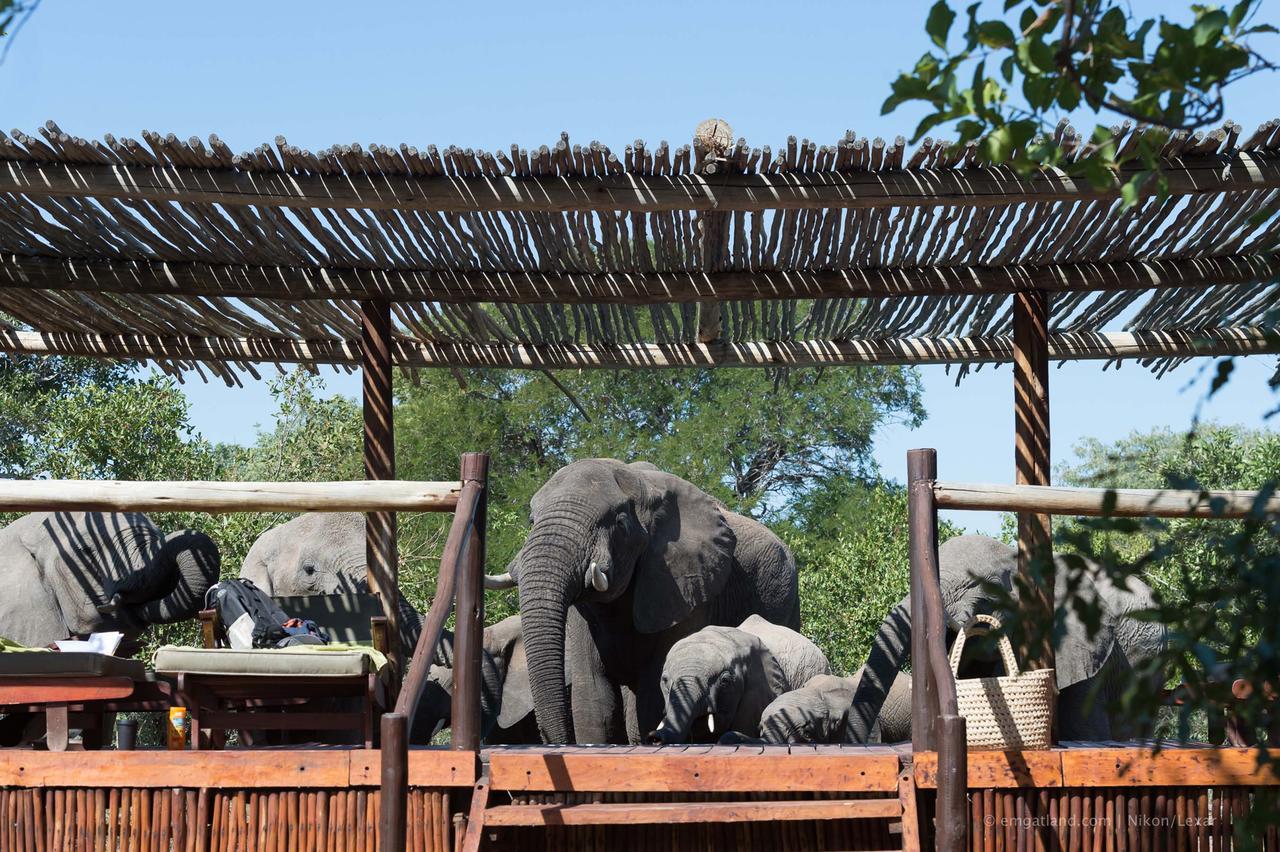 Africa On Foot Villa Klaserie Private Nature Reserve Eksteriør bilde